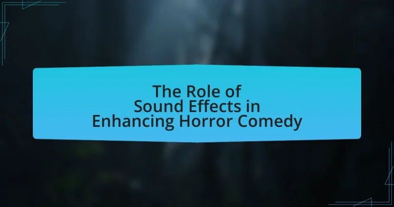 The Role of Sound Effects in Enhancing Horror Comedy