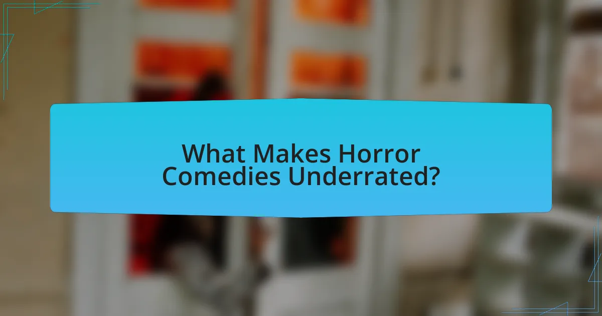 What Makes Horror Comedies Underrated?