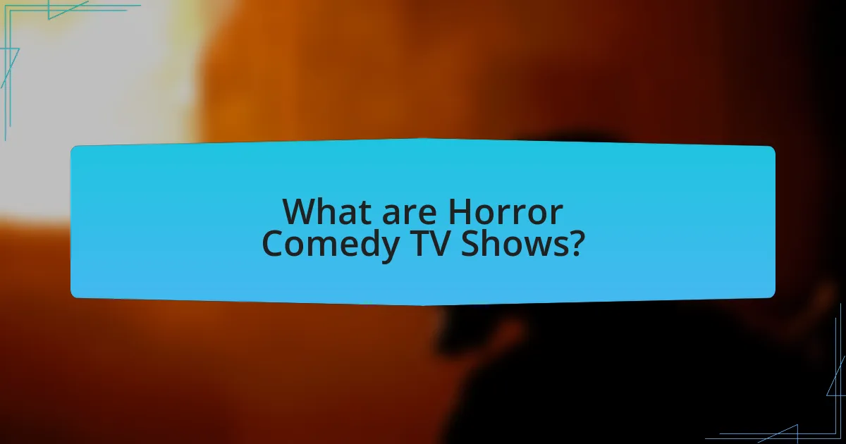 What are Horror Comedy TV Shows?