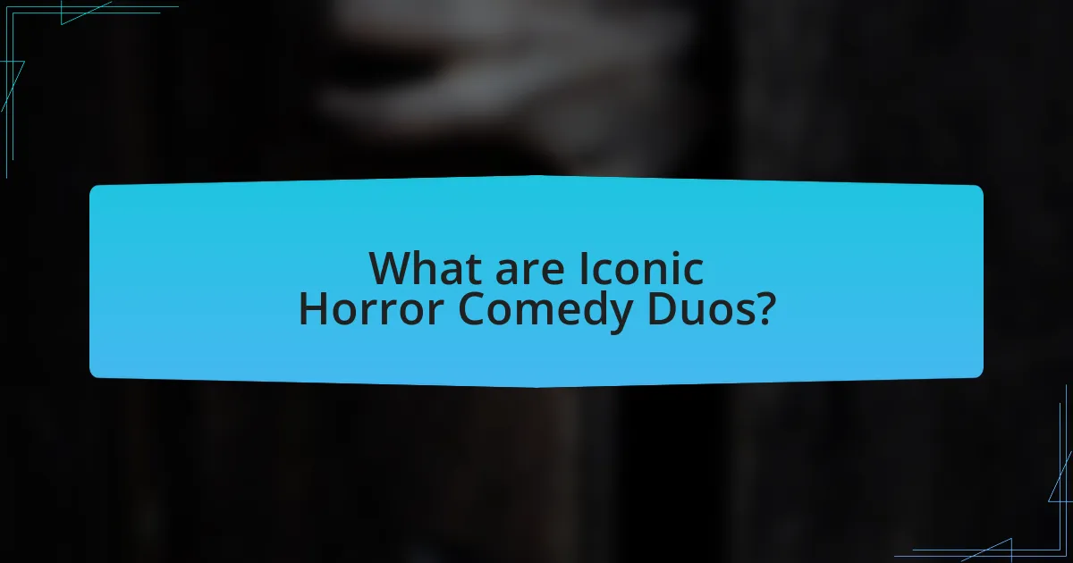 What are Iconic Horror Comedy Duos?