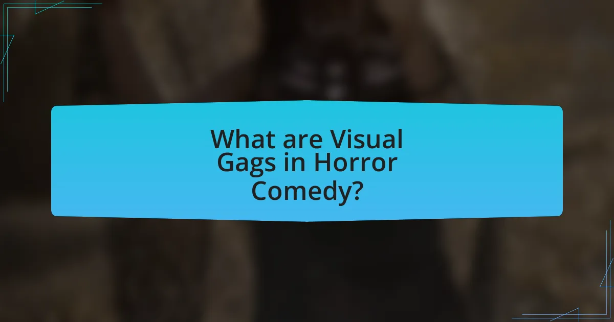 What are Visual Gags in Horror Comedy?