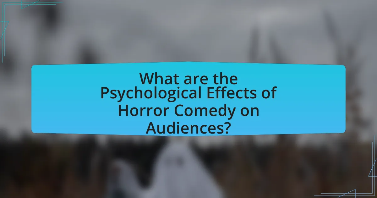 What are the Psychological Effects of Horror Comedy on Audiences?