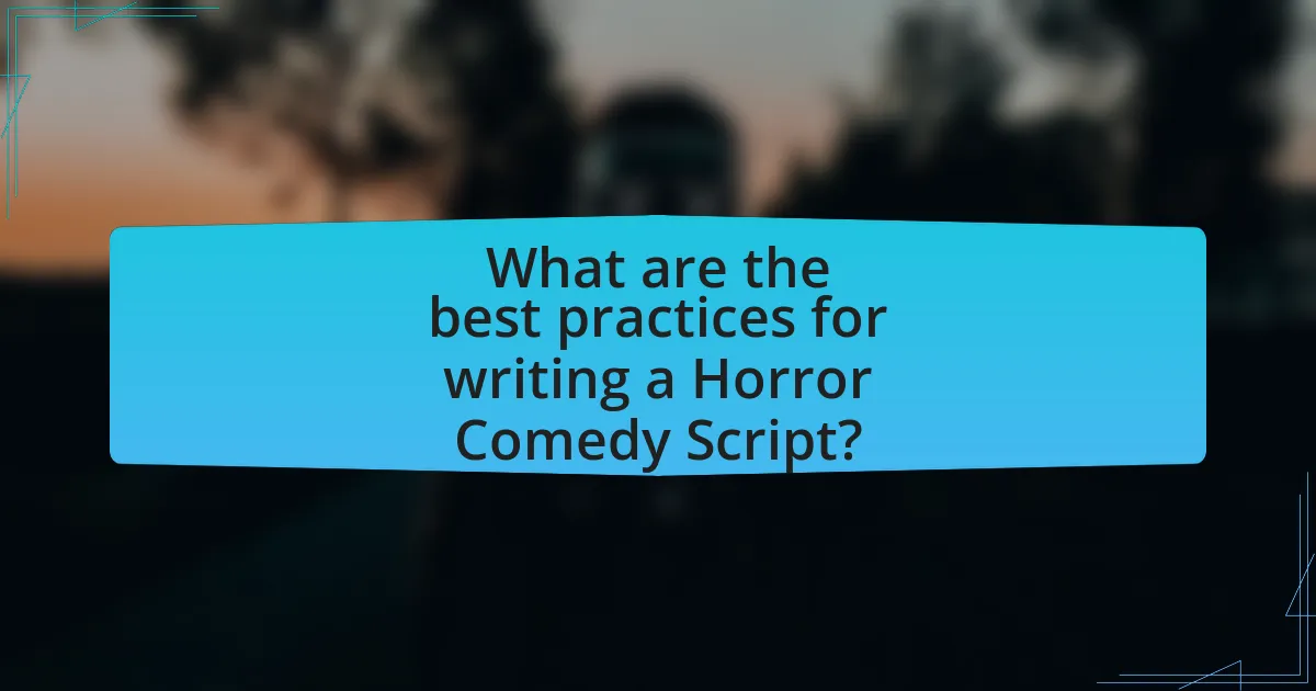 What are the best practices for writing a Horror Comedy Script?