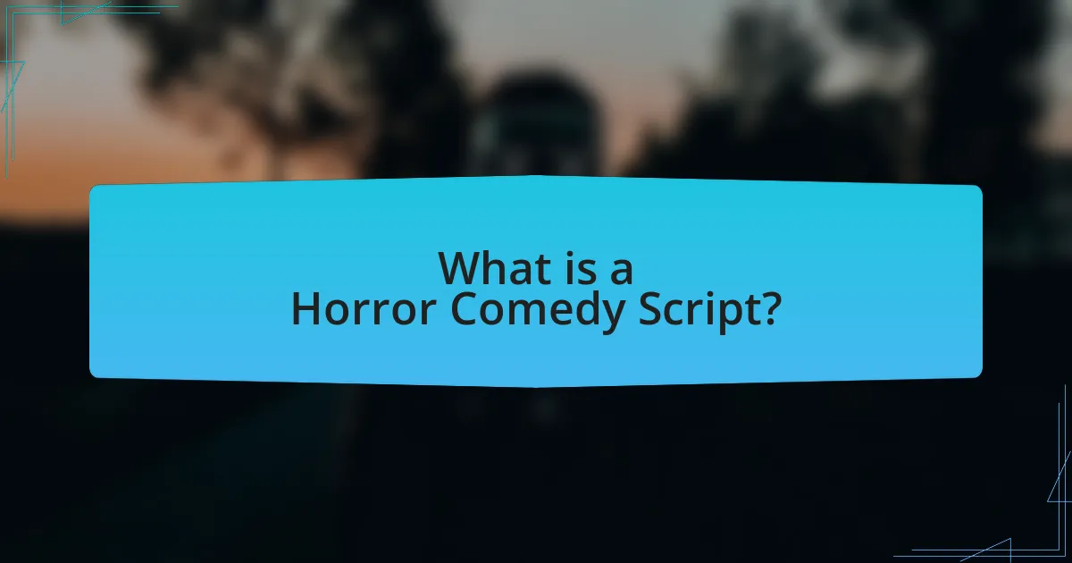 What is a Horror Comedy Script?