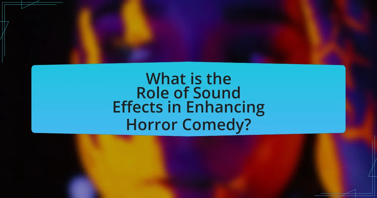 What is the Role of Sound Effects in Enhancing Horror Comedy?