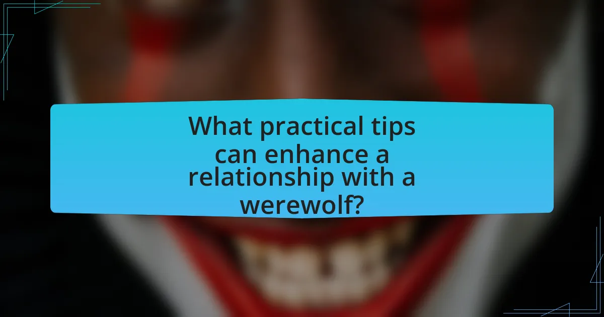 What practical tips can enhance a relationship with a werewolf?